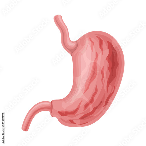 Stomach with Gastritis Symptoms Isolated on White Background Vector Illustration