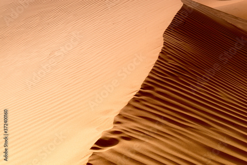 Fototapeta Naklejka Na Ścianę i Meble -  Sand Dunes in Oman, Middle East
