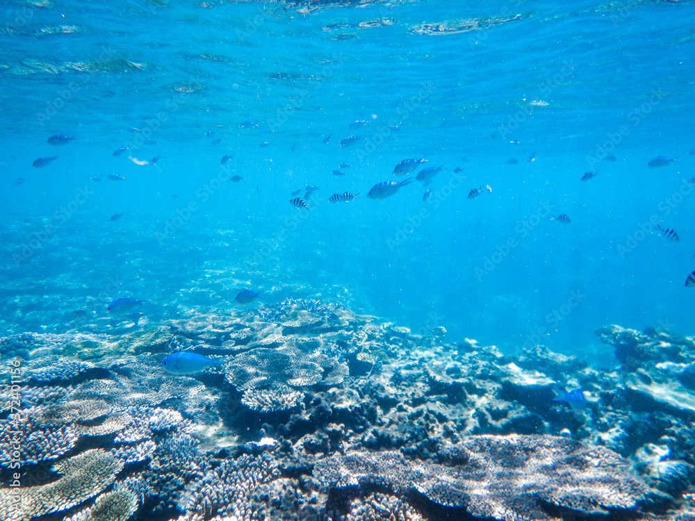 沖縄の海