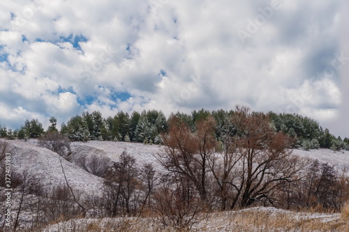Wallpaper Mural The natural monument is a natural complex of terraced landslides on the slopes of chalk hills on the right Bank of the Volga Torontodigital.ca