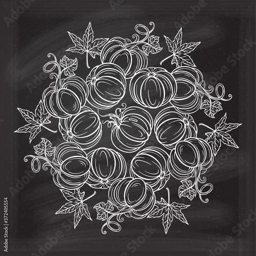 Black and white autumn ornament. Pumpkins and autumn leaves coloring page