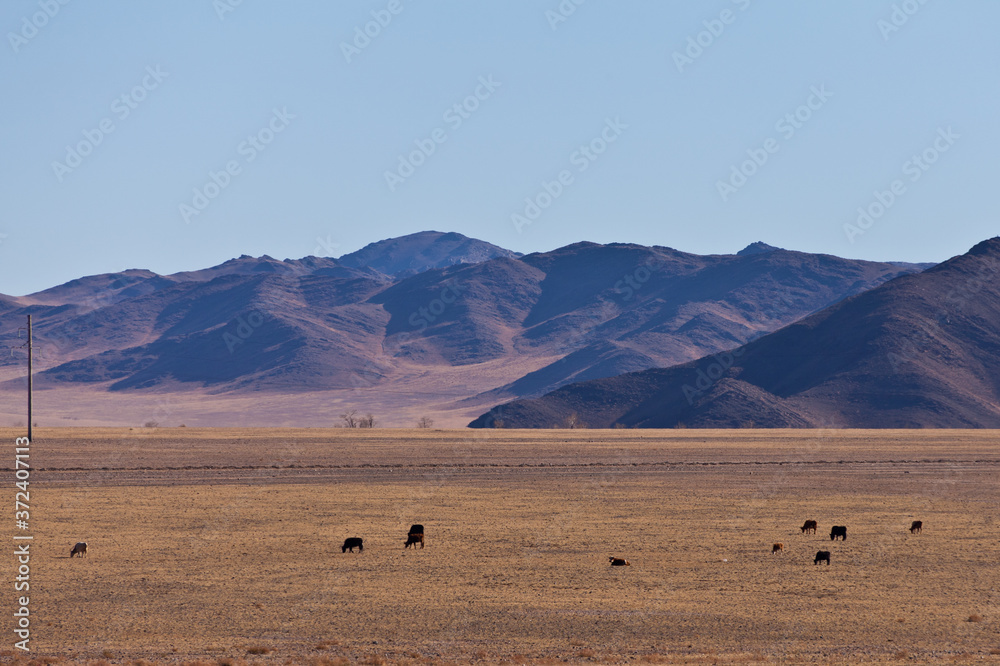 landscape of western Mongolia, Ulgii, Mongolia