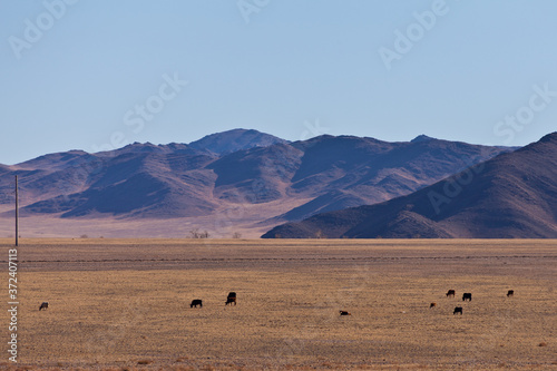 landscape of western Mongolia, Ulgii, Mongolia