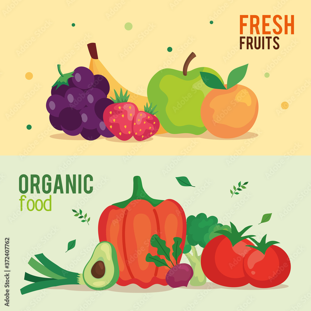 banner of fresh fruits and organic food, concept healthy food vector illustration design banner of fresh fruits and organic food, concept healthy food vector illustration design
