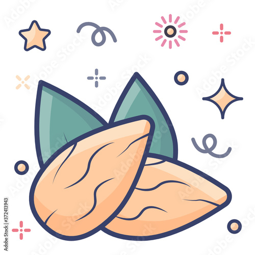 
Icon of edible dry fruit, almonds vector 
