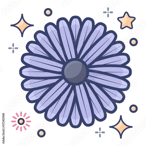 
Aster flower vector, flat editable icon
