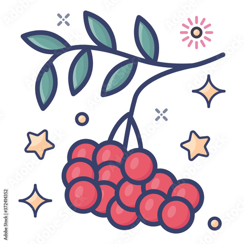 
Rosaceae family specie, flat style of rowan icon
