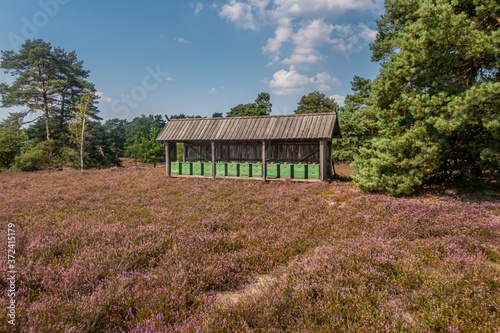 Bienenstöcke in der Nordheide photo