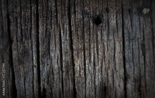 Wood surface Log background from Thailand