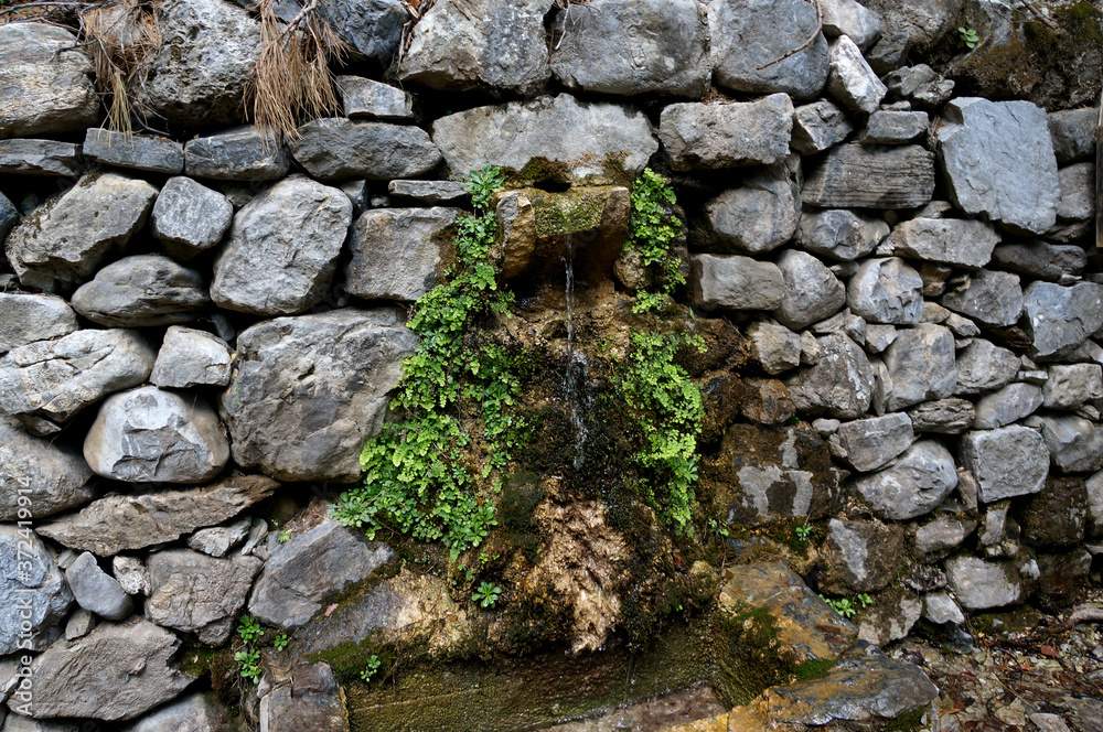 Water source in Samaria Gorge (Crete)