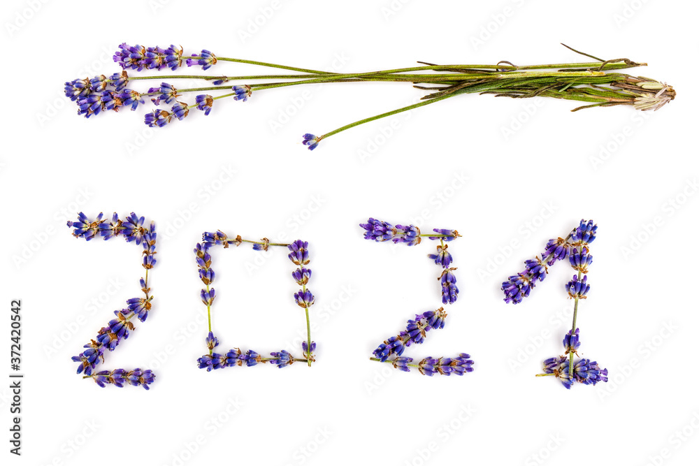 Fresh Lavender flowers as  Numbers 2021  isolated on white background. Space for text