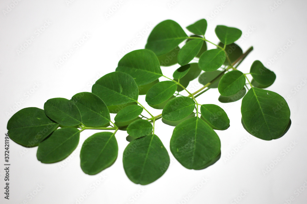 Moringa leaf Moringa leaf