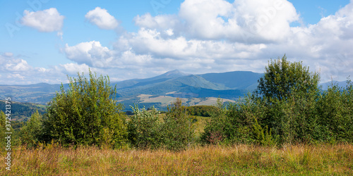 Carpathian countryside in September. mountain landscape on a sunny day. trees on the meadow. sky with fluffy clouds