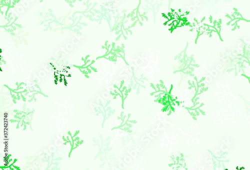 Light Green vector doodle background with branches.