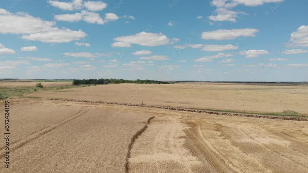 Panoramic view of chamfered golden wheat fields with blue sky and clouds. Drone moving forward and down to farmland with aerial view. Top view of Agriculture scene Panoramic view of chamfered golden wheat fields with blue sky and clouds. Drone moving forward and down to farmland with aerial view. Top view of Agriculture scene