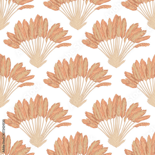 Sand Jungle seamless patterns. Terracotta dusty color pallet tropical plants and geometric abstract elements