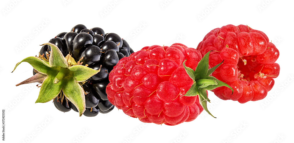 Fresh raspberry and blackberry isolated on white background Fresh raspberry and blackberry isolated on white background
