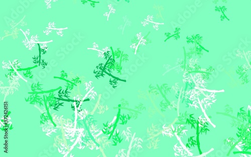 Light Green vector abstract design with branches.