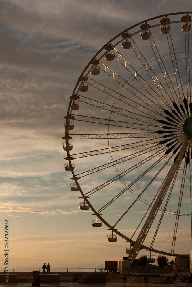 ferris wheel at night