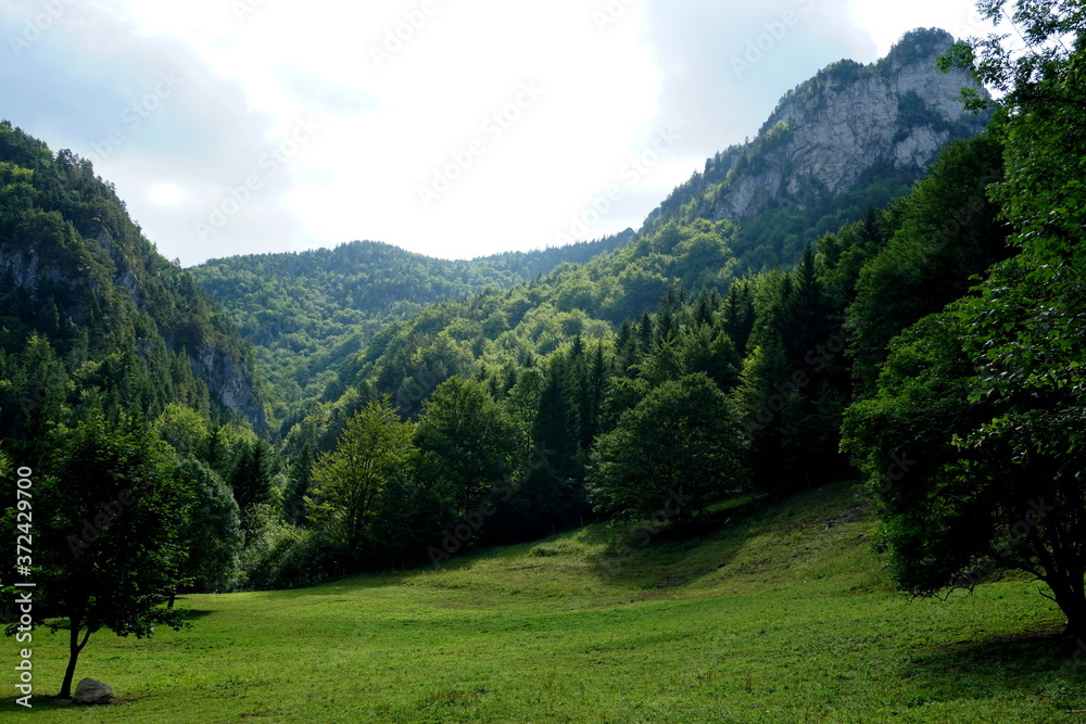 Meadows and forests above Jasenova with hills of Mala Fatra National Park, Slovakia. Sunny summer day Meadows and forests above Jasenova with hills of Mala Fatra National Park, Slovakia. Sunny summer day