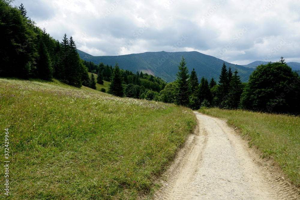 Meadows and forests above Jasenova with hills of Mala Fatra National Park, Slovakia. Sunny summer day 