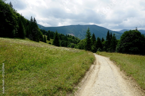 Meadows and forests above Jasenova with hills of Mala Fatra National Park, Slovakia. Sunny summer day 