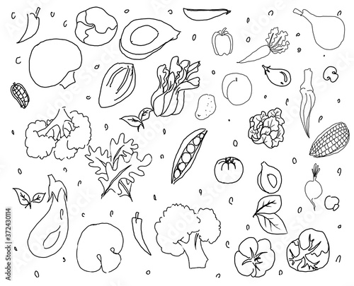 Hand drawn vegetable on isolated white background. Food illustration pattern for decoration card, template, wallpaper, texture.