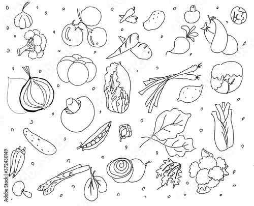 Hand drawn  vegetable on isolated white background. Food illustration pattern for decoration card  template  wallpaper  texture.
