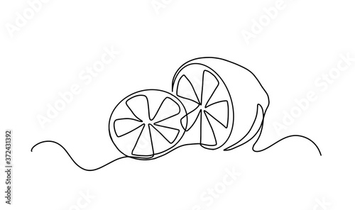 Continuous one line drawing. Lemon lime fruits. Vector illustration. Continuous line drawing of lemon. Template for your design. Vector illustration. One continuous line drawing of whole healthy lemon