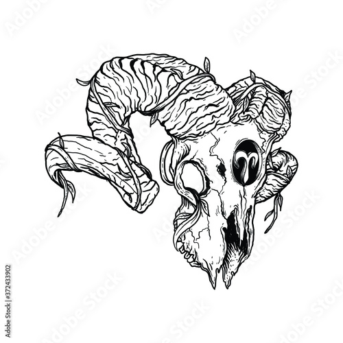 tattoo and t-shirt design black and white hand drawn  aries skull zodiac premium vector