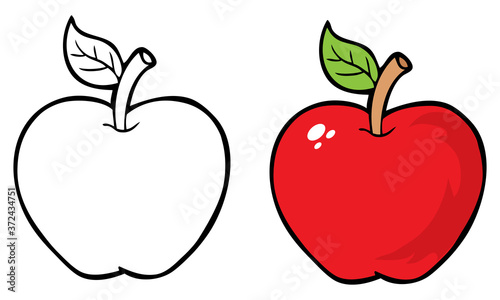 apple coloring vector illustration fruits top view
