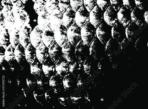 Fish scales texture. Scales background.Grunge texture. Grunge black and white vector overlay. Grungy grainy surface.