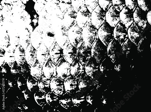 Fish scales texture. Scales background.Grunge texture. Grunge black and white vector overlay. Grungy grainy surface.