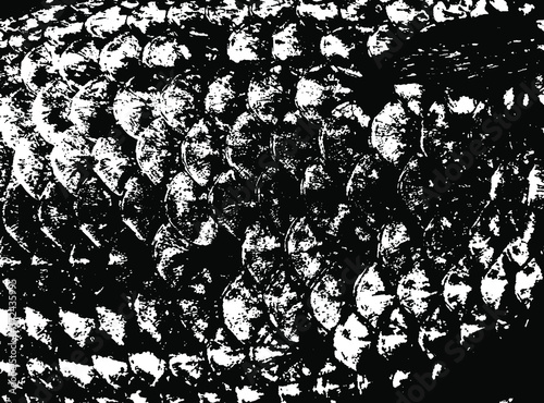 Fish scales texture. Scales background.Grunge texture. Grunge black and white vector overlay. Grungy grainy surface.