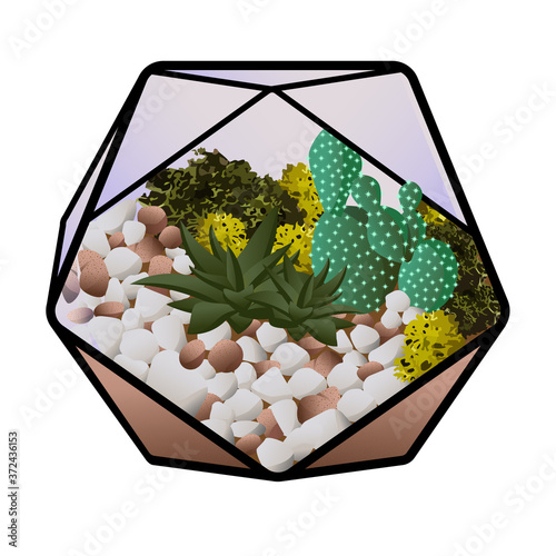 Vector illustration with glass florarium dodecahedron isolated on background. Succulent in geometric flowerpot in flat style