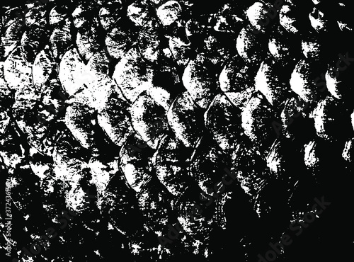 Fish scales texture. Scales background.Grunge texture. Grunge black and white vector overlay. Grungy grainy surface.