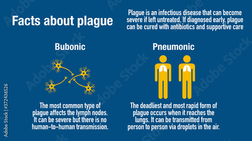 Infographic with facts about plague