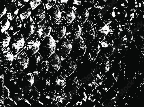 Fish scales texture. Scales background.Grunge texture. Grunge black and white vector overlay. Grungy grainy surface.