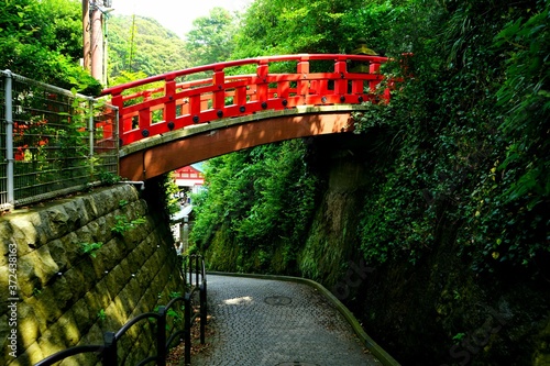 江の島の横道