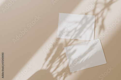 Blank paper sheet cards with mockup copy space with sunlight shadow on beige background. Minimal business brand template. Flat lay, top view photo