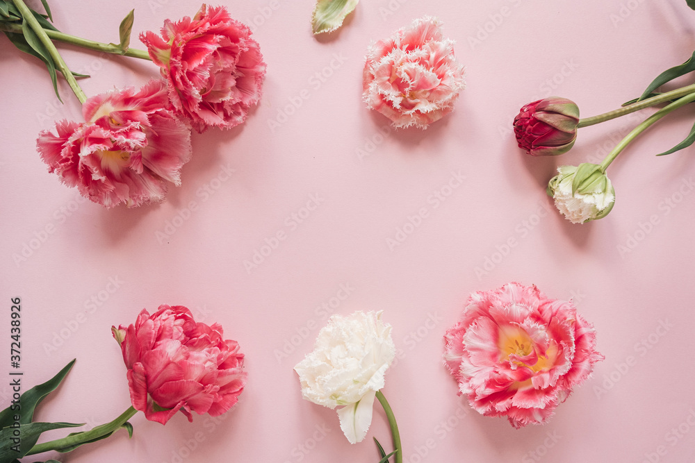 Round frame made of beautiful pink and white peony tulip flowers on pink background. Flat lay, top view floral concept with mockup copy space template