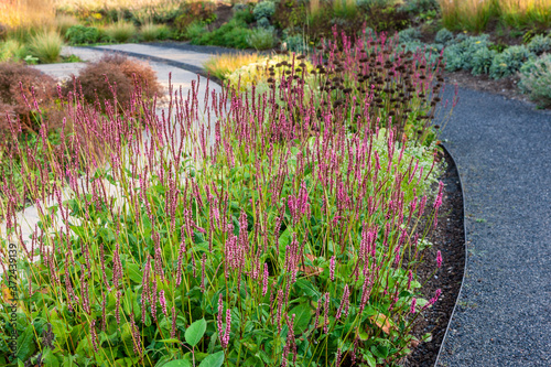 Gartendesign im Berne Park am rhein-herne-kanal und emscher in Bottrop