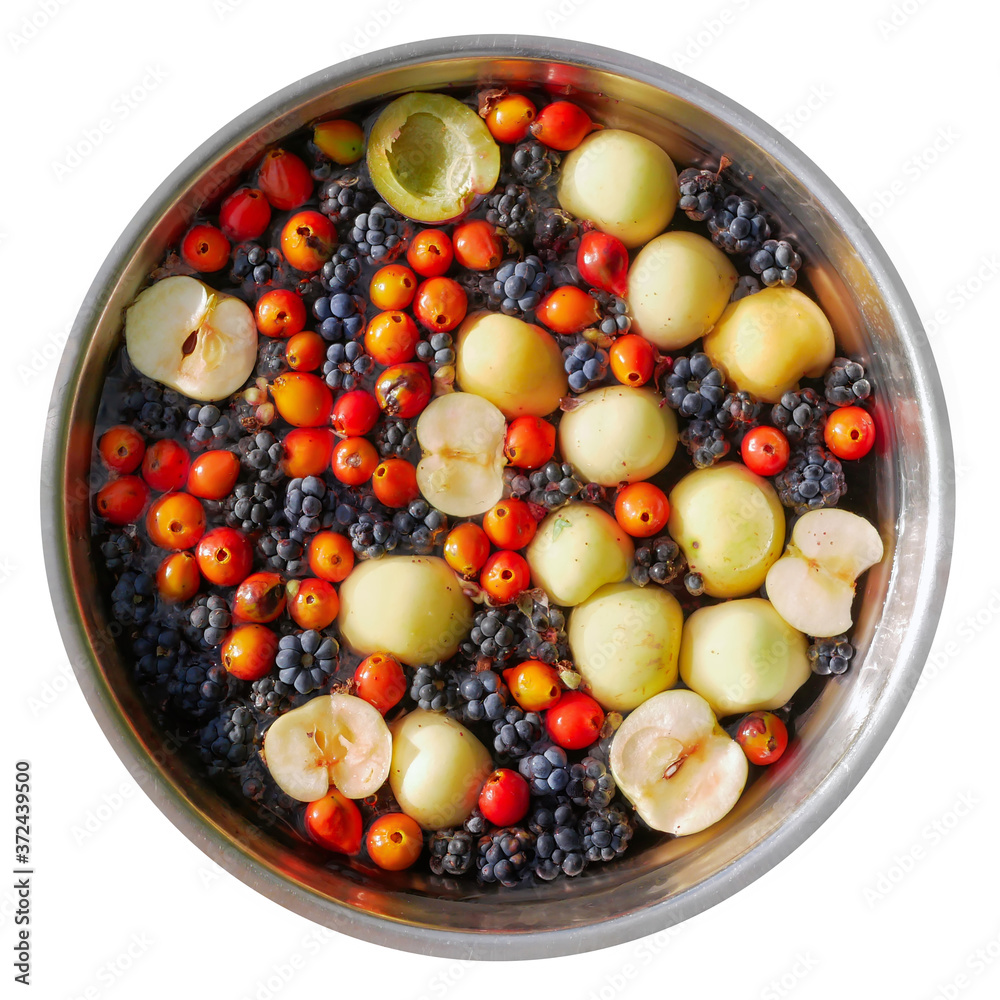 Various wild forest berries, blackberries, rose hips and apples in a cup, top view. Isolated on white Various wild forest berries, blackberries, rose hips and apples in a cup, top view. Isolated on white