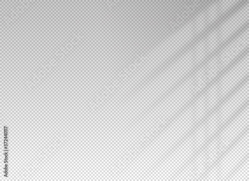 Shadow blinds. Light from window. Overlay effect. Shade jalousie transparent. Isolated background. Window blinds. Reflected shadow on wall. Realistic soft shade blind. Horizontal mockup. Vector 
