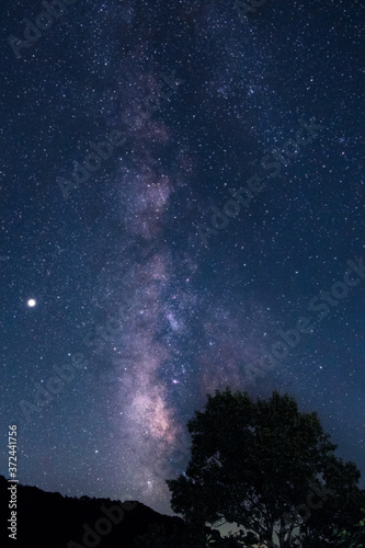 森の中で見えた星