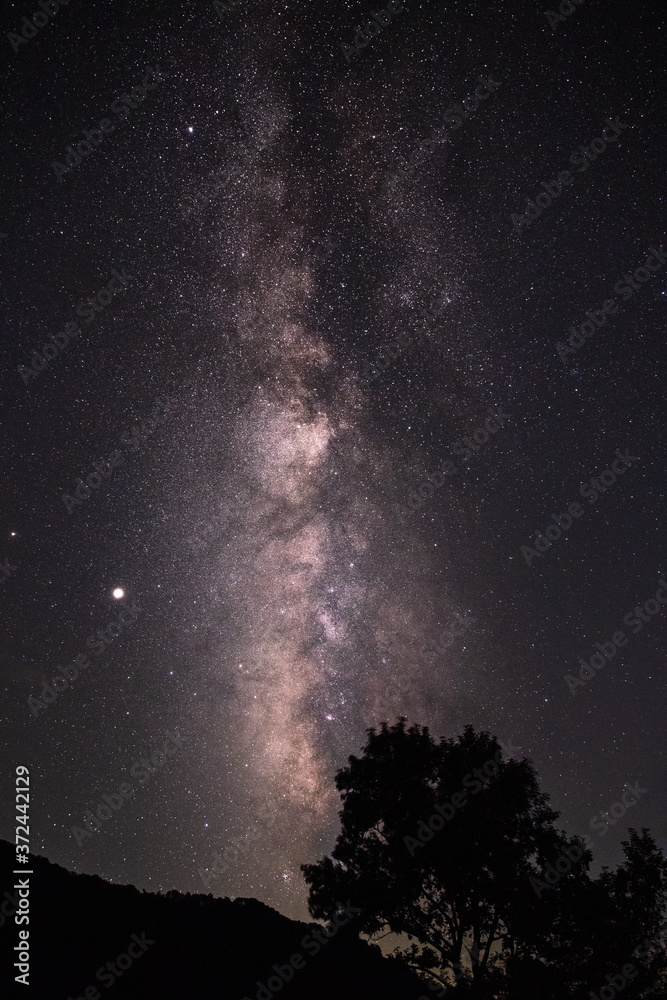 森の中で見えた星