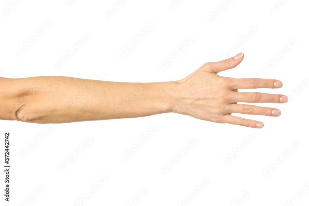 Giving hand for handshake. Woman hand gesturing isolated on white