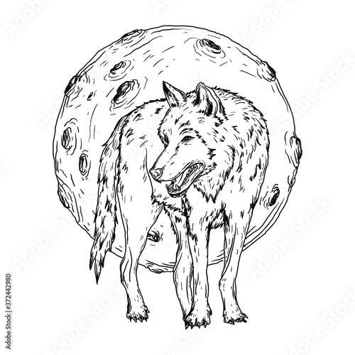 tattoo and t-shirt design black and white hand drawn  wolf and moon premium vector