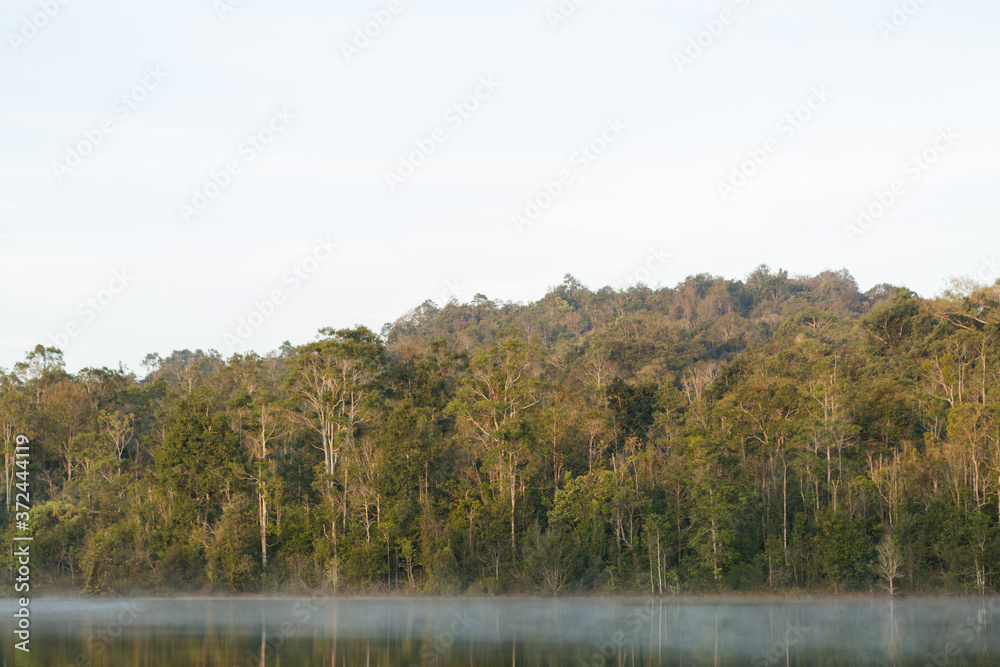 Beautiful nature and fog on Sai Sorn Reservoir, Khao Yai National Park, Nakhonratsima, THAILAND