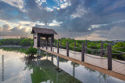 Purple Island full of Mangrove in Thakira. Known as Dakhira photo